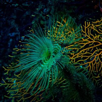 Foto da capa: Momento Romântico