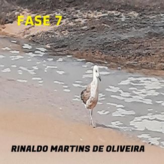 Foto da capa: FASE 7