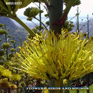 Foto da capa: Flowers, Birds and Sounds