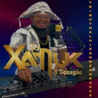 Foto da capa: GONZAGÃO O MELHOR DO FORROZIHO 2025