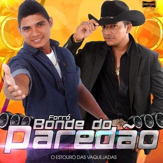 Foto da capa: CD FORRÓ BONDE DO PAREDÃO VOL.1 - "Aceita que doi menos"