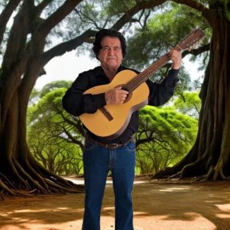 Foto da capa: VOLUME 31