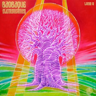 Foto da capa: Eletrorgânico Lado A