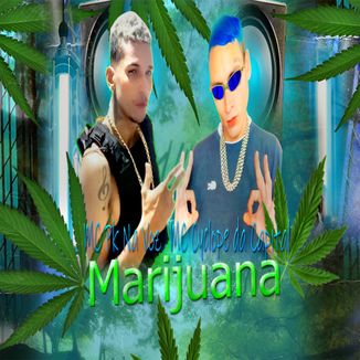 Foto da capa: Marijuana