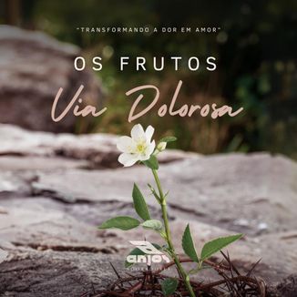 Capa do disco
