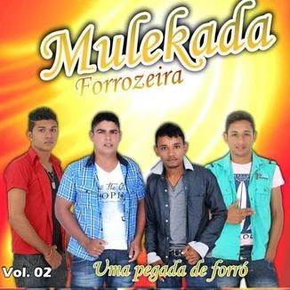 Foto da capa: mulekada forrozeira volume 02 2015