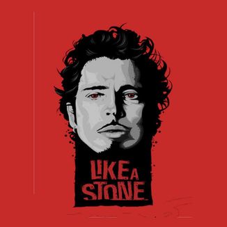 Foto da capa: Like a Stone