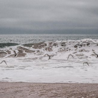 Foto da capa: Horizonte Distante