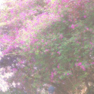 Foto da capa: Infinito... E Além