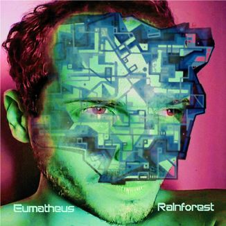 Foto da capa: Rainforest