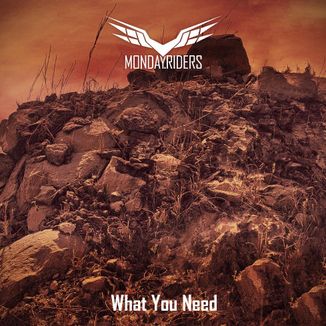 Foto da capa: What You Need