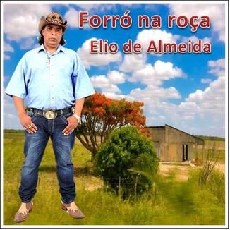 Foto da capa: Forró na roça