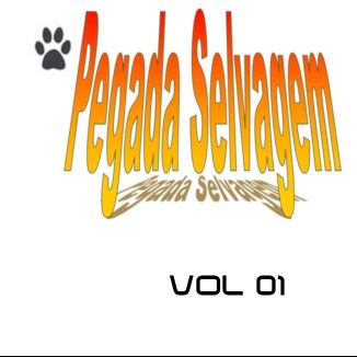 Foto da capa: CD AUTORAL VOL 01