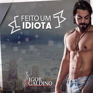 Foto da capa: Feito um Idiota