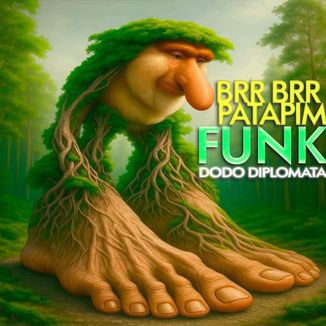 Foto da capa: Brr Brr Patapim - Funk Barroth