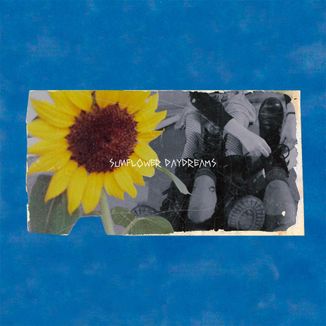 Foto da capa: Sunflower Daydreams