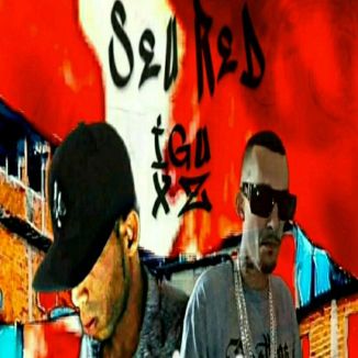 Foto da capa: Obstinado