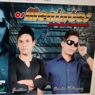Foto da capa: Os meninões vol.1