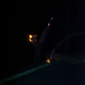 Foto da capa: Esquerdo