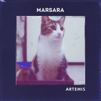 Foto da capa: Artemis