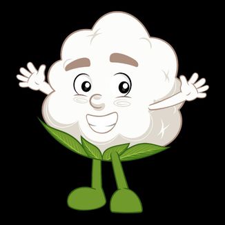 Foto da capa: Canções de Algodão