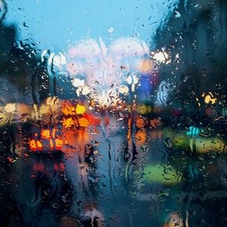 Foto da capa: Chuva de Novembro