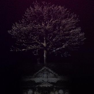 Foto da capa: Take Care