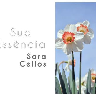 Foto da capa: Louvores