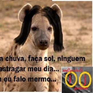 Foto da capa: Istou bem