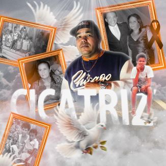 Foto da capa: Cicatriz