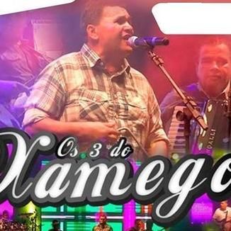 Foto da capa: Os 3 do xamego - CD Promocional