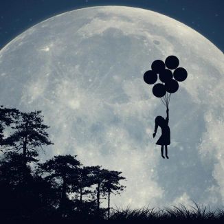 Foto da capa: Dream of dill