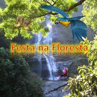 Foto da capa: Festa na Floresta