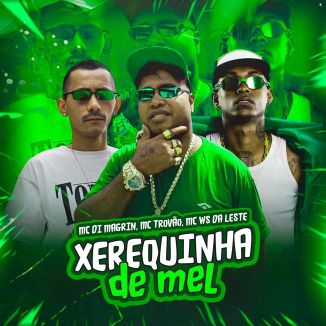 Foto da capa: Xerequinha de Mel - Mc Ws da leste - MC Di Magrin - MC Trovão