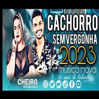Foto da capa: Cachorro sem vergonha
