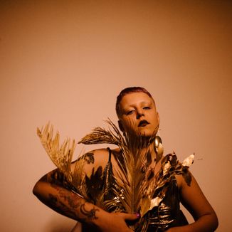 Foto da capa: Ametista