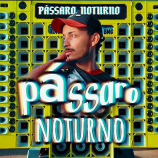 Foto da capa: PÁSSARO NOTURNO