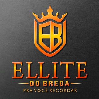 Foto da capa: Banda ELITE DO BREGA