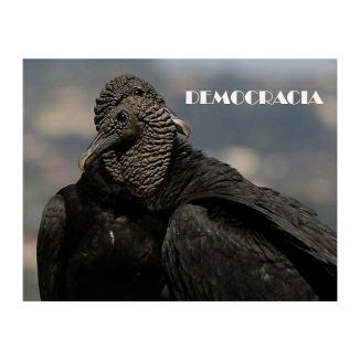 Foto da capa: DEMOCRACIA