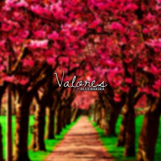 Foto da capa: Valores