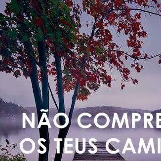 Foto da capa: EM MEIO AS LUTAS