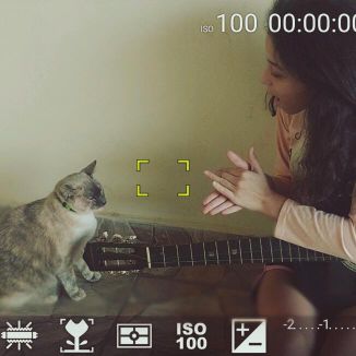 Foto da capa: Equipe MBhitskrodizilla