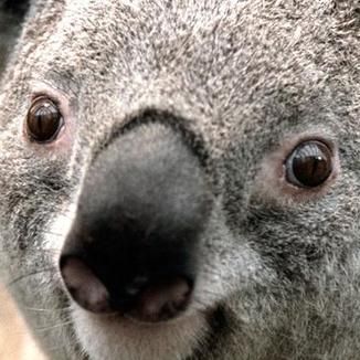 Foto da capa: A melhor resenha de todos os tempos