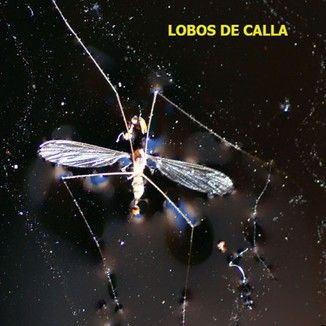 Foto da capa: Cores e Nuvens