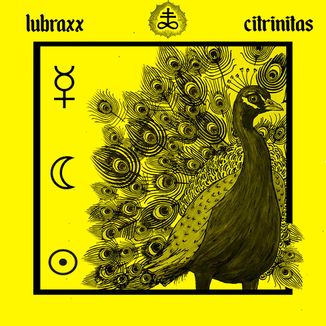 Foto da capa: Citrinitas