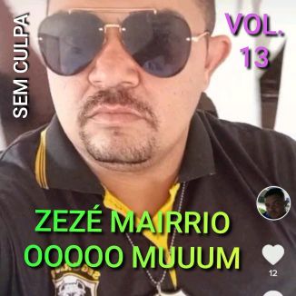 Foto da capa: Sem Culpa, Vol. 13