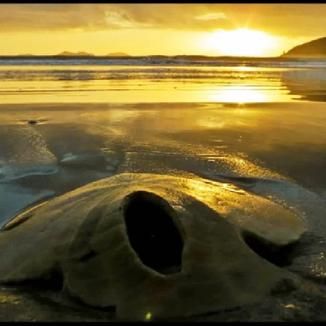 Foto da capa: VELHA TRYLHOS E AMIGOS