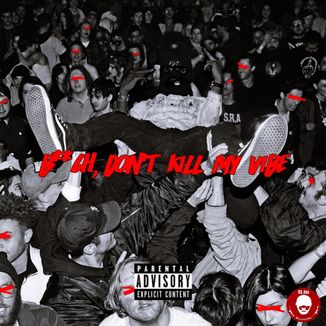 Foto da capa: Bitch, Don't Kill My Vibe