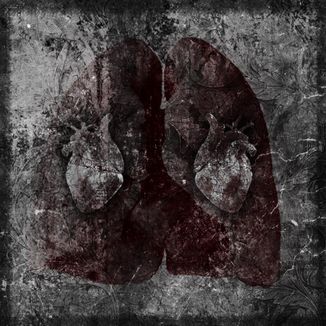 Foto da capa: Revel MC's - Insuficiente [Diss] (Prod. SubVert | Lezter)