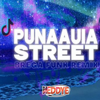 Foto da capa: Punaauia Street - TIK TOK (Brega Funk Remix)